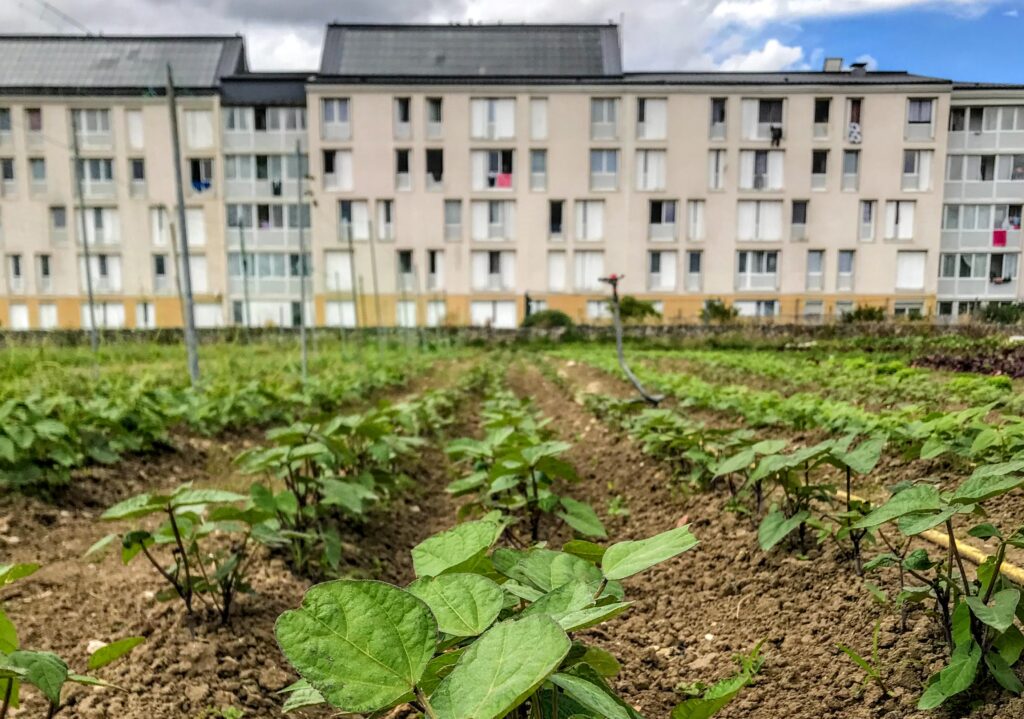 jardin du pont blanc approvisionnement sevran